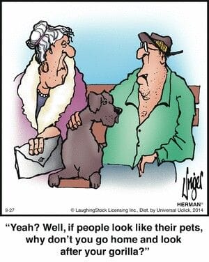 3-11 20 Hilarious Herman Comics by Jim Unger That Deliver a Perfect Punchline