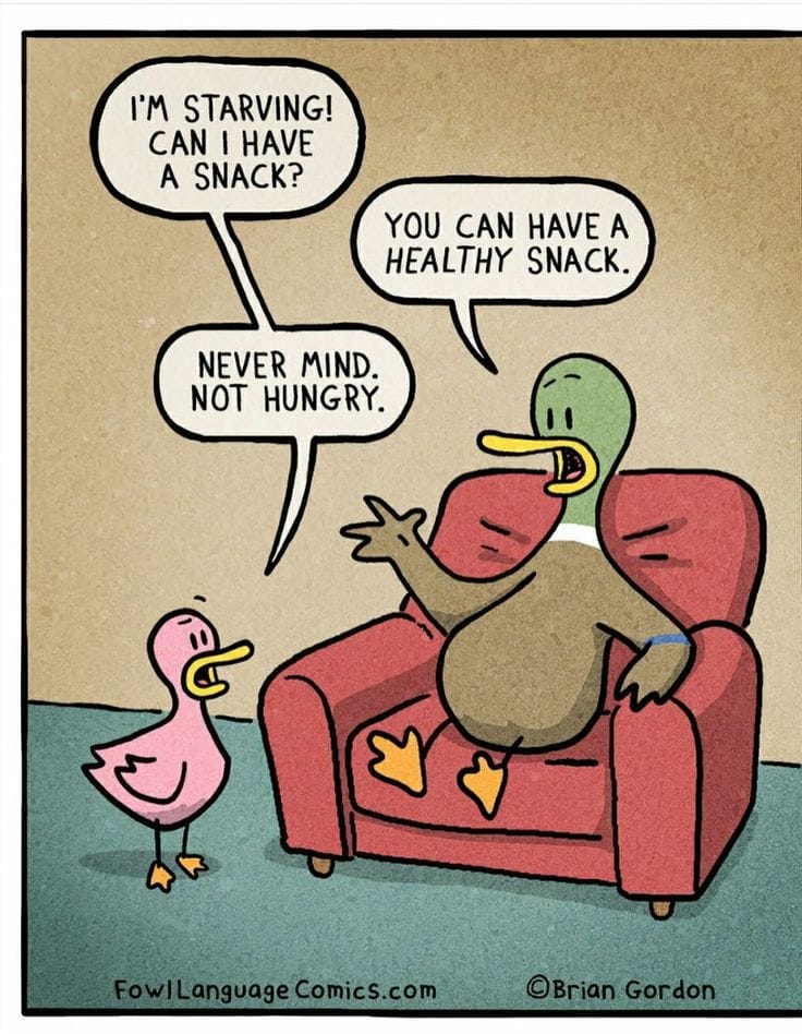 9-9 20 Hilarious Fowl Language Comics by Brian Gordon That Parents Will Relate To Instantly