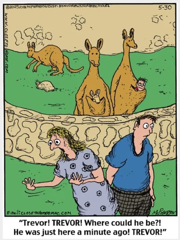 Popular Cartoons