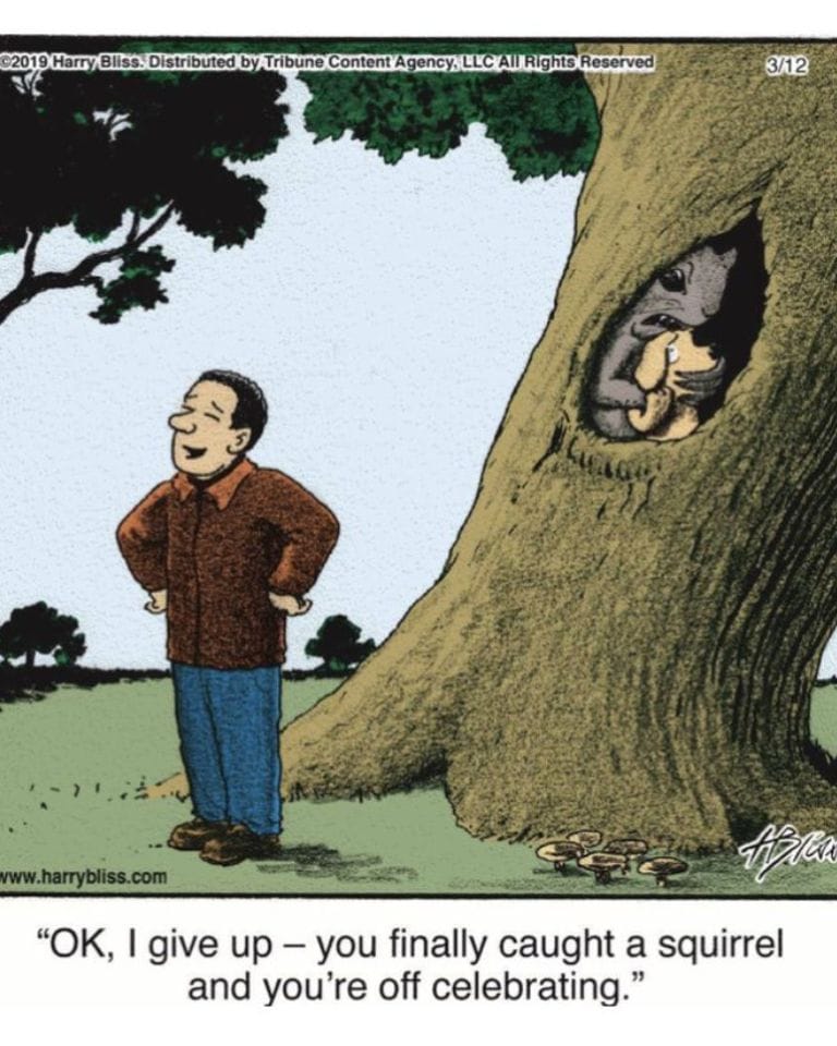 1-27 10 Hilarious Dogs Comics by Harry Bliss That Pet Owners Will Love and Relate To