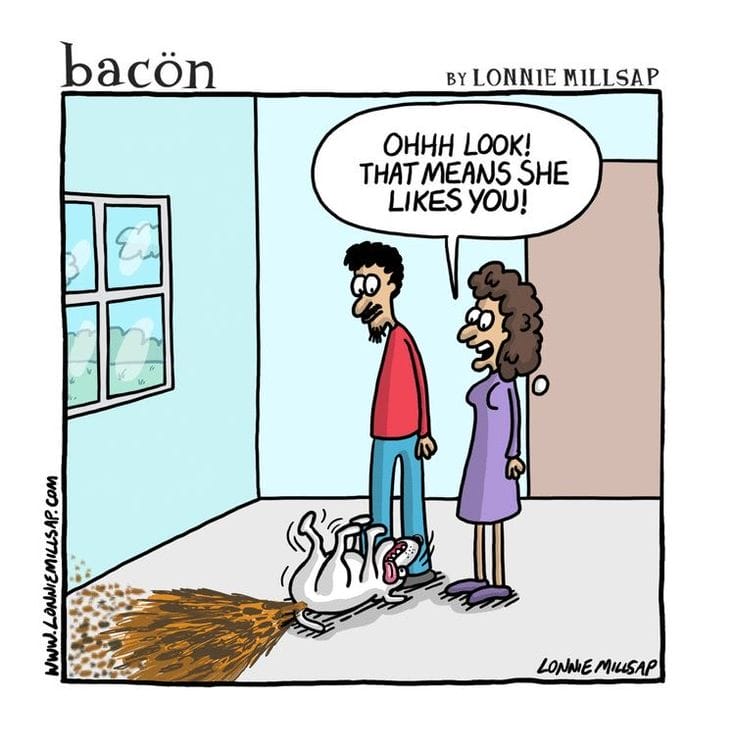 1-28 10 Best Comics by Bacon with the Perfect Punchlines