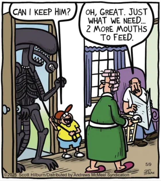 1-40 Top 10 Funniest Single Panel Humor Comics from Argyle Sweater You Can’t Unsee