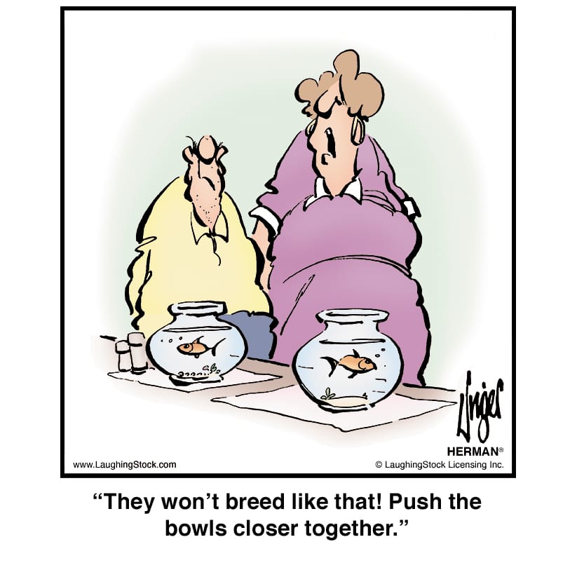 1-54 20 Hilarious Herman Cartoons That Prove Jim Unger Is a Comic Genius