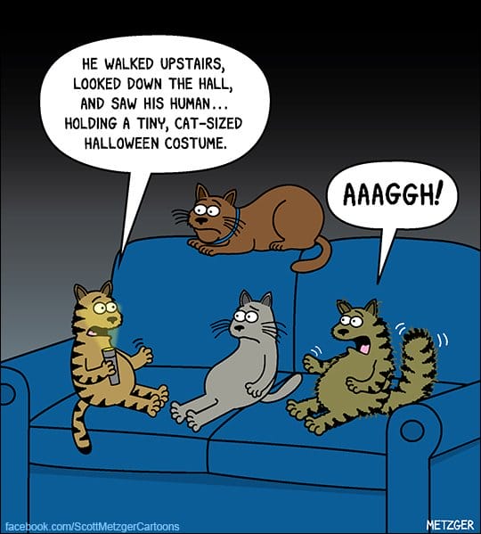 1-82 20 Funny Cat Cartoons by Scott Metzger That Totally Get Cat Life