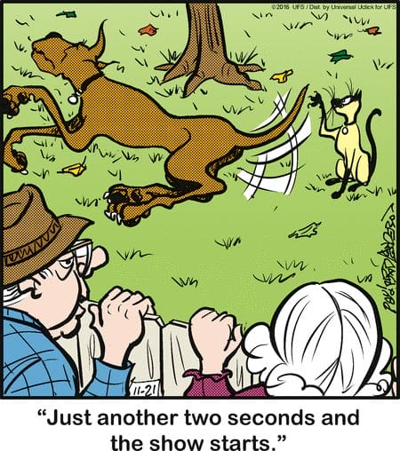 1-89 20 Wholesome and Hilarious Dog Comics by Brad Anderson You Can’t Miss