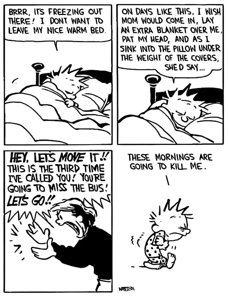 1-Picsart-AiImageEnhancer-788x1024 Top 10 Unforgettable Calvin and Hobbes Comics That Still Make Us Laugh