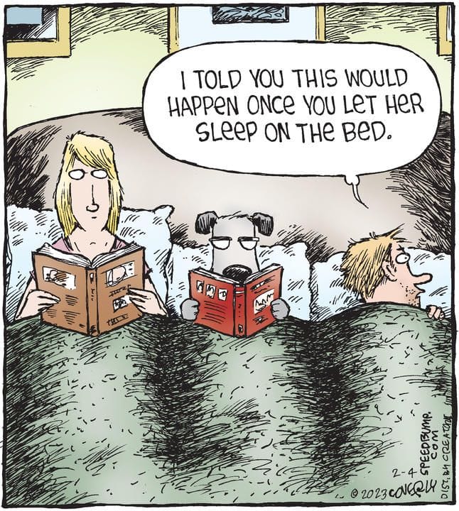 10-10 20 Hilarious Speed Bump Comics by Dave Coverly Packed with Wit
