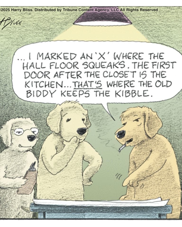 10-25 10 Hilarious Dogs Comics by Harry Bliss That Pet Owners Will Love and Relate To