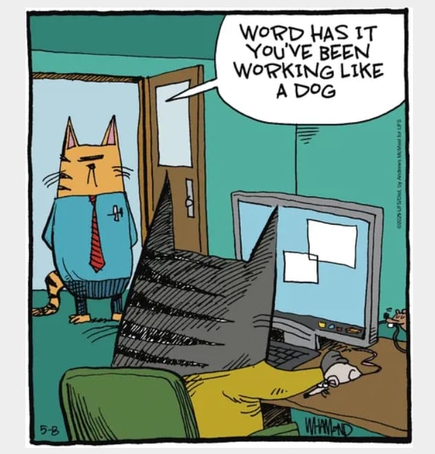10-29 20 Hilarious Cartoons Comics by Dave Whamond That’ll Make Your Day