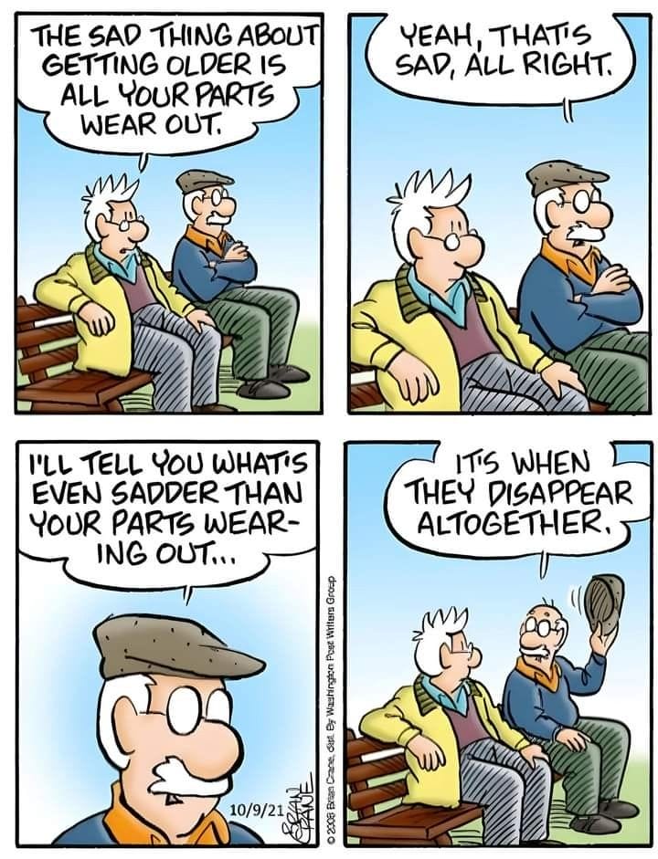 10-34 10 Hilarious Earl and Opal Pickles Cartoons That Perfectly Capture Aging and Marriage