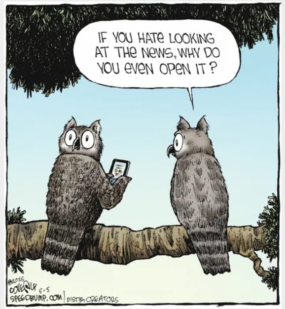 10-42 20 Funny Comics by Dave Coverly That Are Clever, Witty, and Relatable