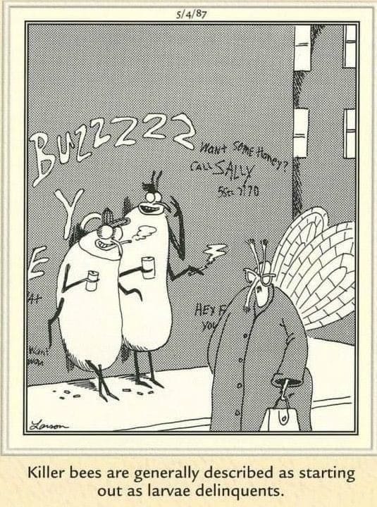 10-74 20 Best of The Far Side Comics That Prove Gary Larson Is Still the King of Weird