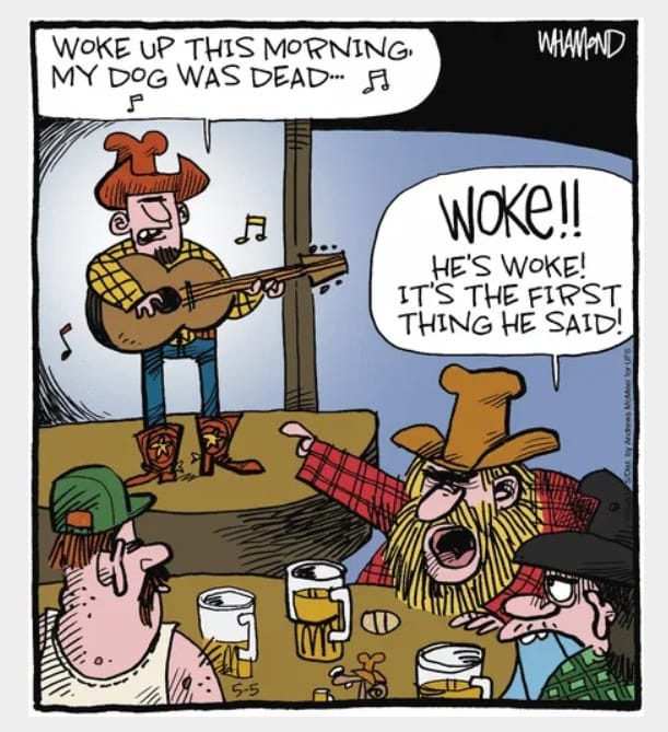11-17 20 Hilarious Cartoons Comics by Dave Whamond That’ll Make Your Day