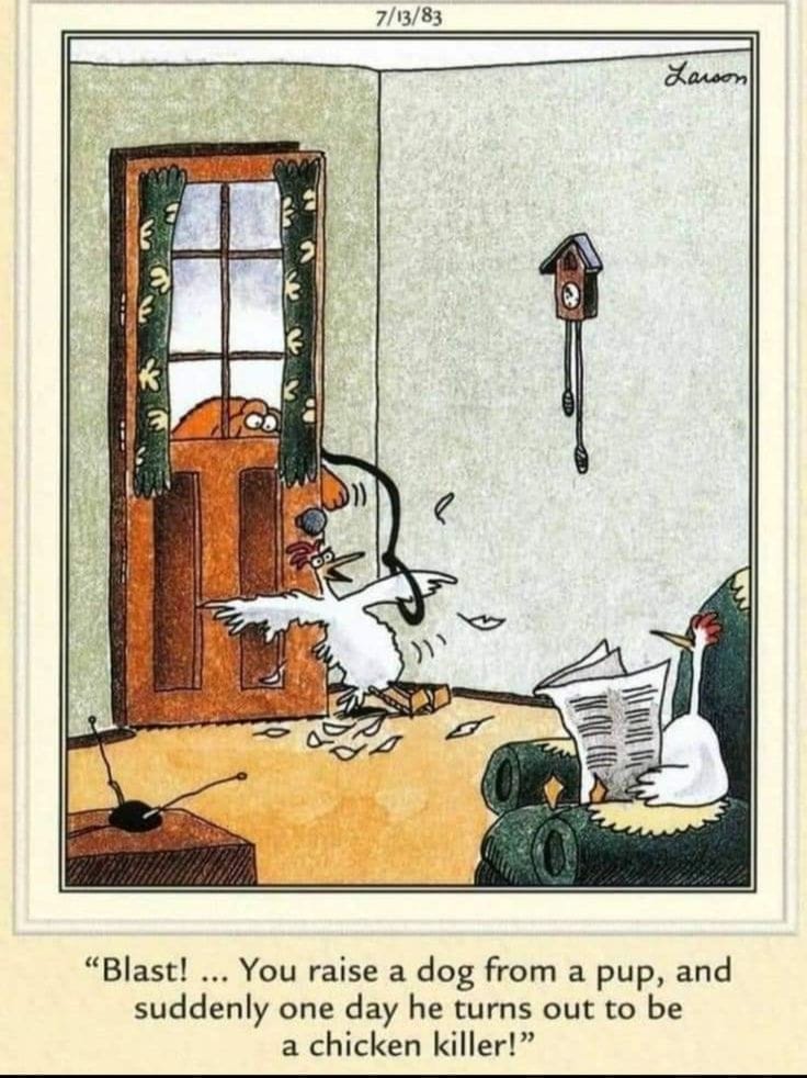 11-25 20 Best Far Side Comics That Still Hilariously Hold Up Today