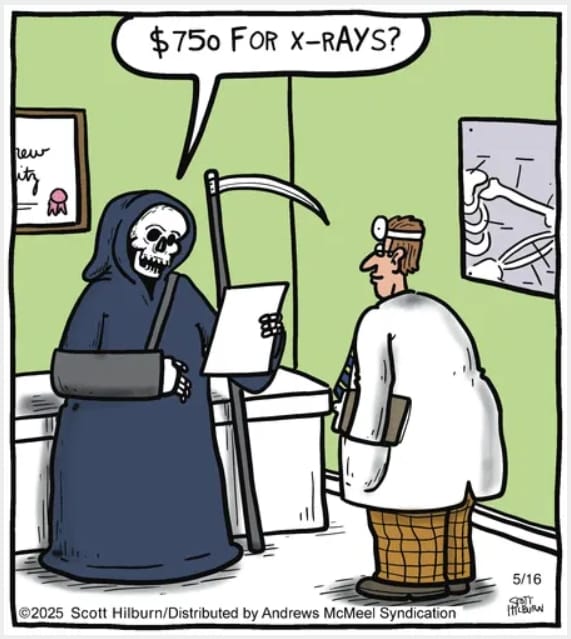 11-40 20 Hilarious Comics Online by Scott Hilburn That’ll Instantly Brighten Your Day