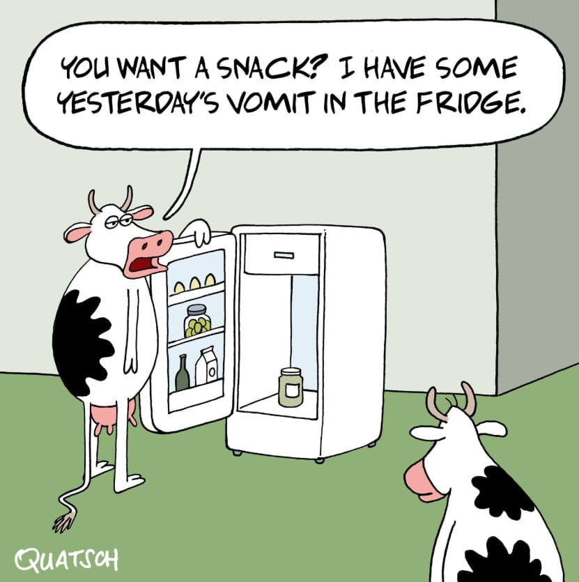 11-57 20 of the Best Cartoons by Quatsch Cartoons That Are Just Too Relatable
