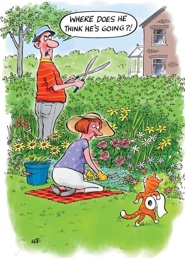 11-7 20 Hilarious Old Couple Cartoons That Perfectly Capture Aging Humor