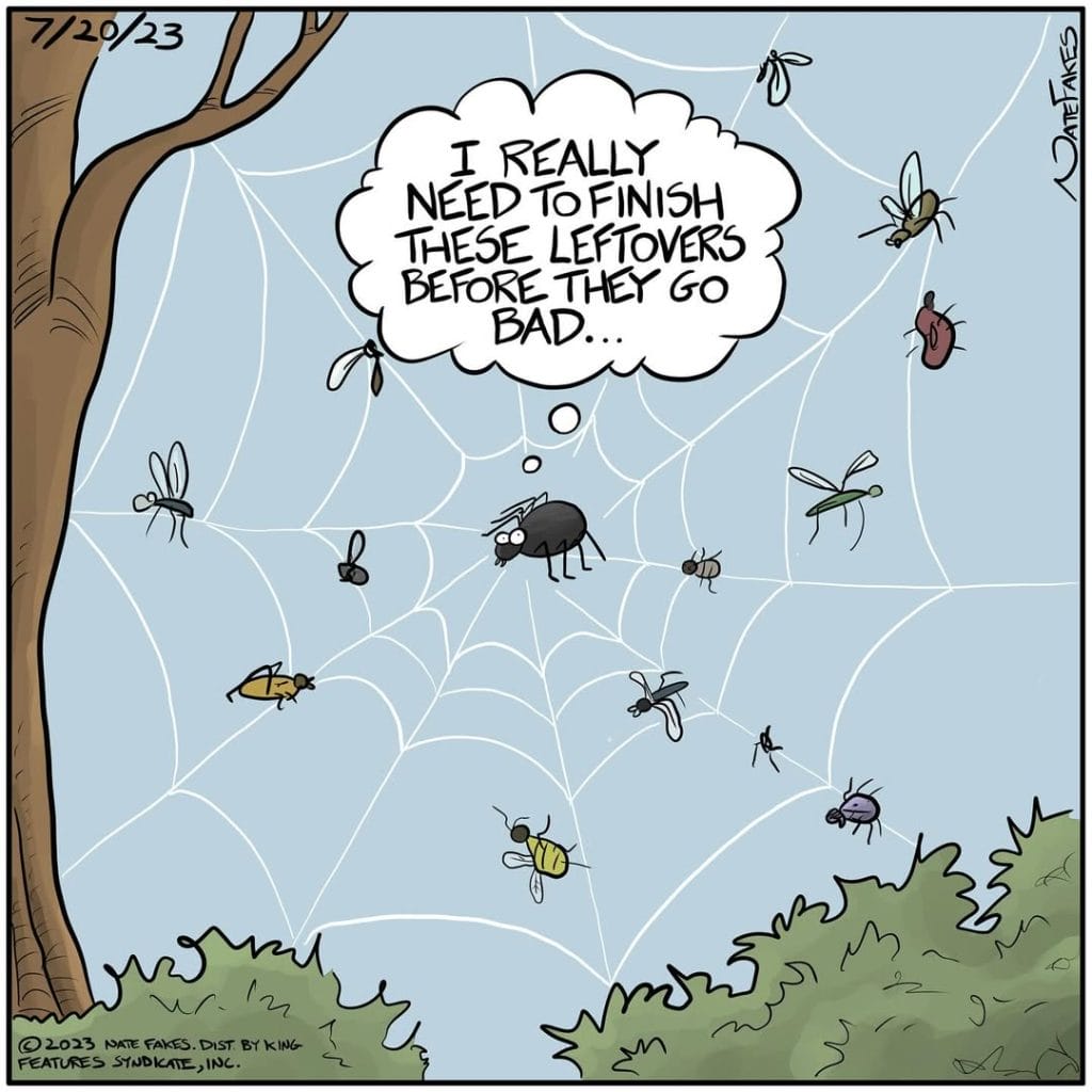 11-73-1024x1024 20 Humorous Comics by Nate Fakes That Deliver Brilliant Daily Humor