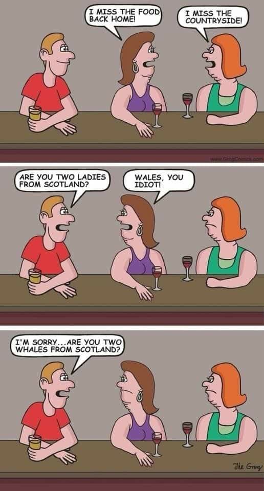 11-88 20 Hilarious Dark Humor Comics by Grog Comics That’ll Make You Gasp-Laugh