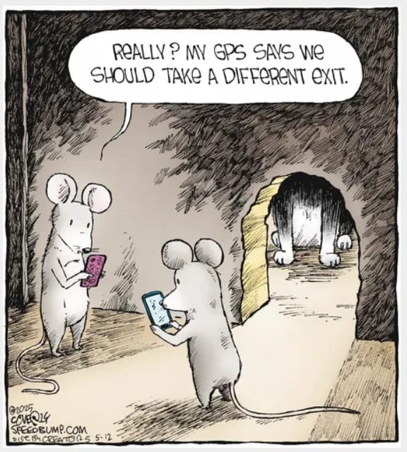 12-22 20 Funny Comics by Dave Coverly That Are Clever, Witty, and Relatable