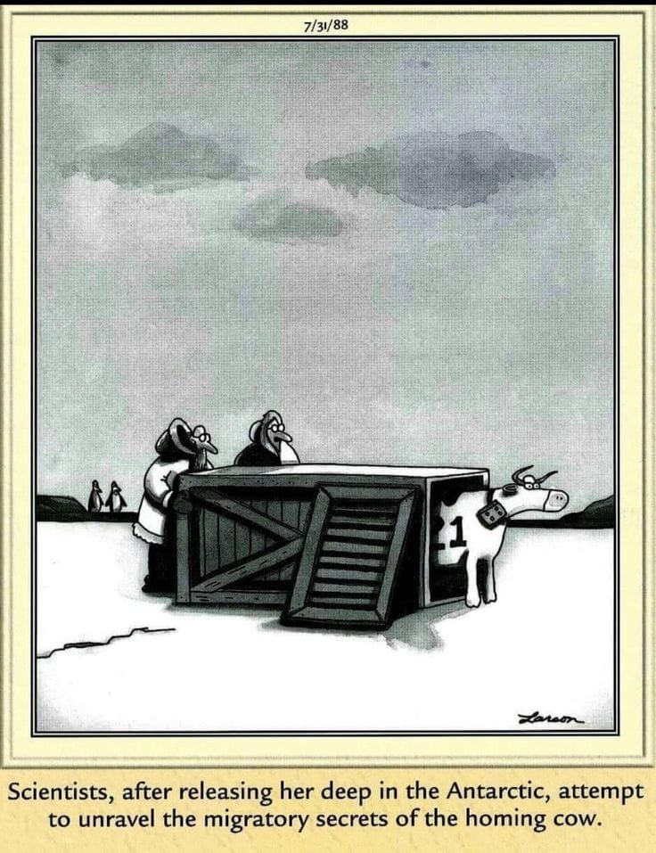 12-24 20 Best Far Side Comics That Still Hilariously Hold Up Today