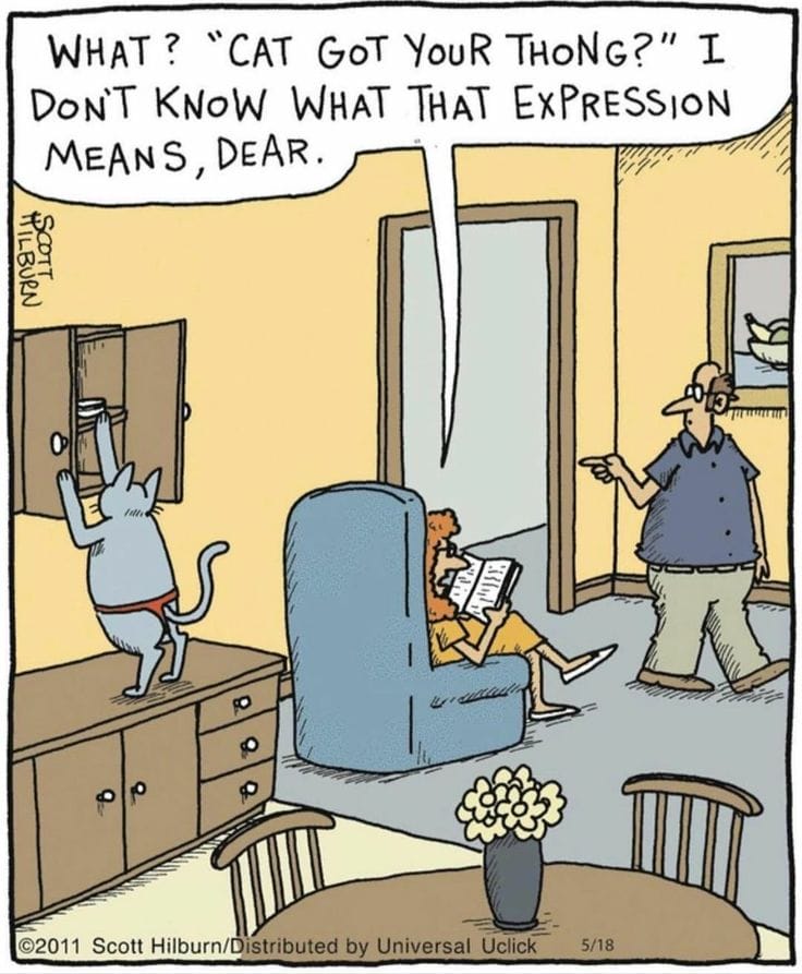 12-3 20 Witty and Twisted Argyle Sweater Comics by Scott Hilburn You’ll Love