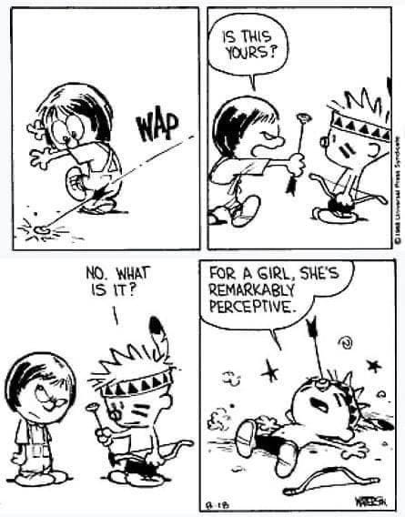 12-34 20 Hilarious Calvin and Hobbes Cartoons Every Fan Needs to See Again