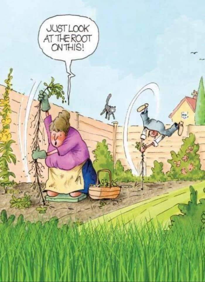 12-6 20 Hilarious Old Couple Cartoons That Perfectly Capture Aging Humor