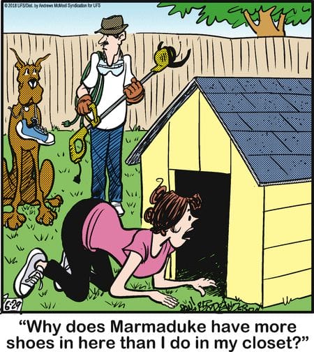 12-68 20 Wholesome and Hilarious Dog Comics by Brad Anderson You Can’t Miss