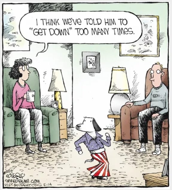 13-43 20 Relatable life cartoons by Dave Coverly That Nail Everyday Absurdity