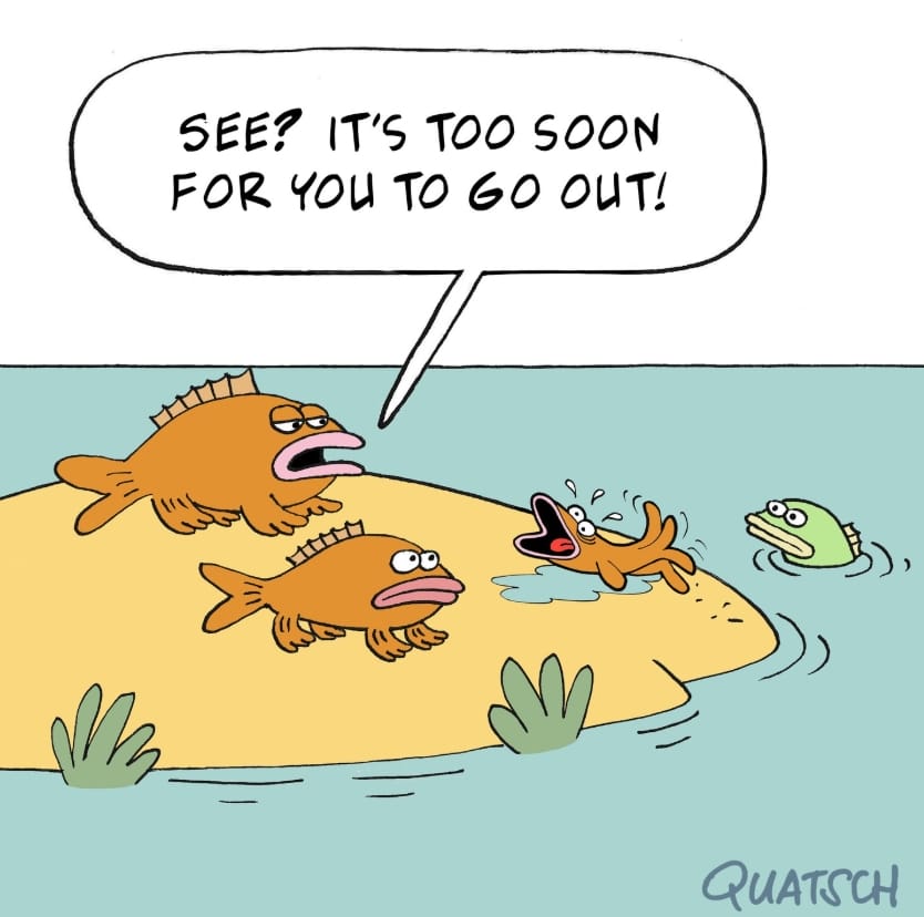 13-56 20 of the Best Cartoons by Quatsch Cartoons That Are Just Too Relatable