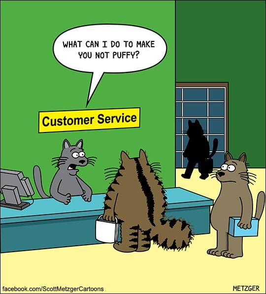 13-60 20 Funny Cat Cartoons by Scott Metzger That Totally Get Cat Life