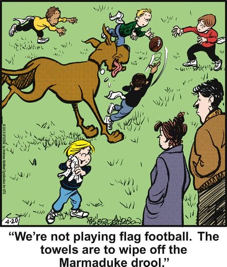 13-66 20 Wholesome and Hilarious Dog Comics by Brad Anderson You Can’t Miss