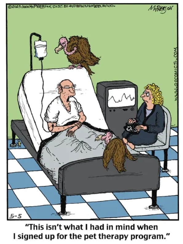 14-11 20 of the Best Humor Comics by John McPherson With a Twisted Touch