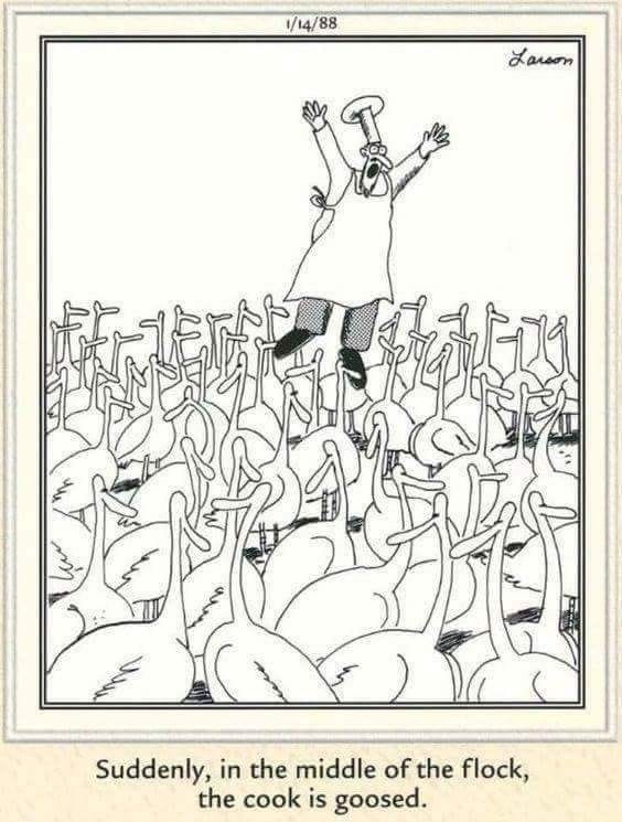 14-12 20 Hilarious Daily Humor Comics by Gary Larson That Still Hold Up Today