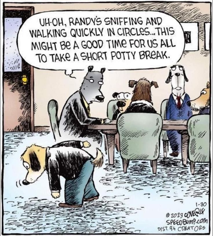 14-22 20 Funny Comics by Dave Coverly That Are Clever, Witty, and Relatable