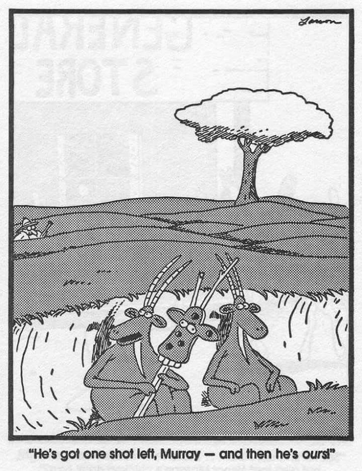 15-13 20 Hilarious Daily Humor Comics by Gary Larson That Still Hold Up Today