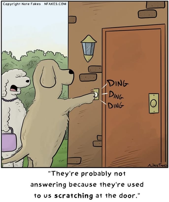 15-16 20 Hilarious One-Panel New Dark Humor Comics by Nate Fakes