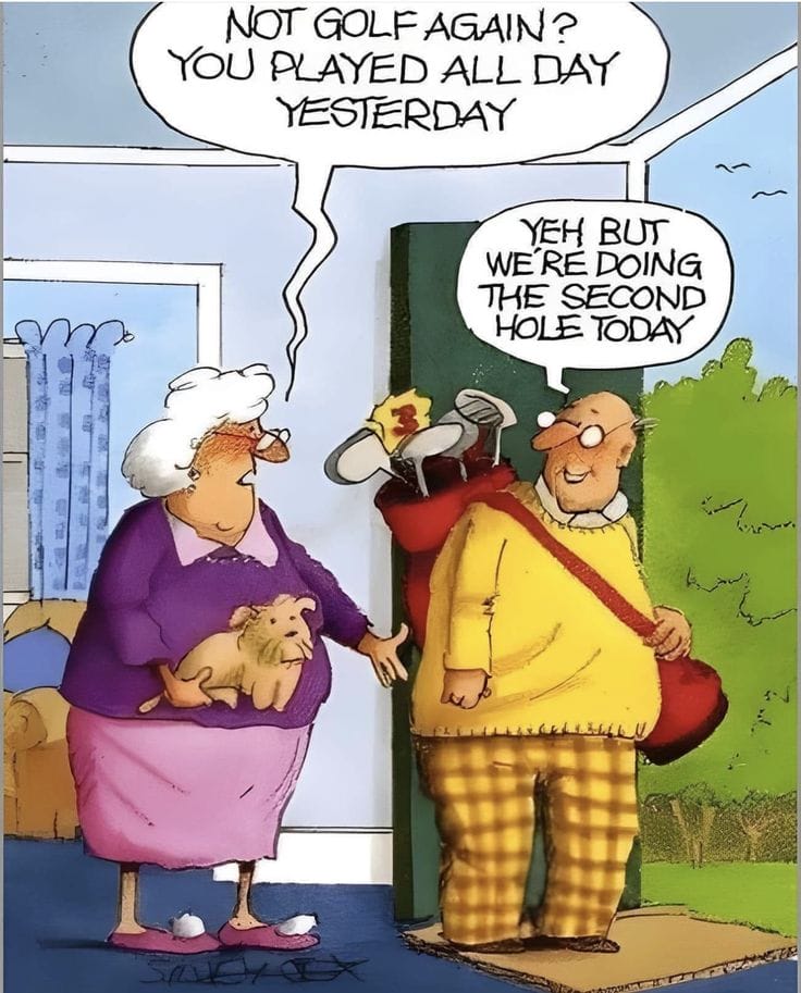 15-6 20 Hilarious Old Couple Cartoons That Perfectly Capture Aging Humor