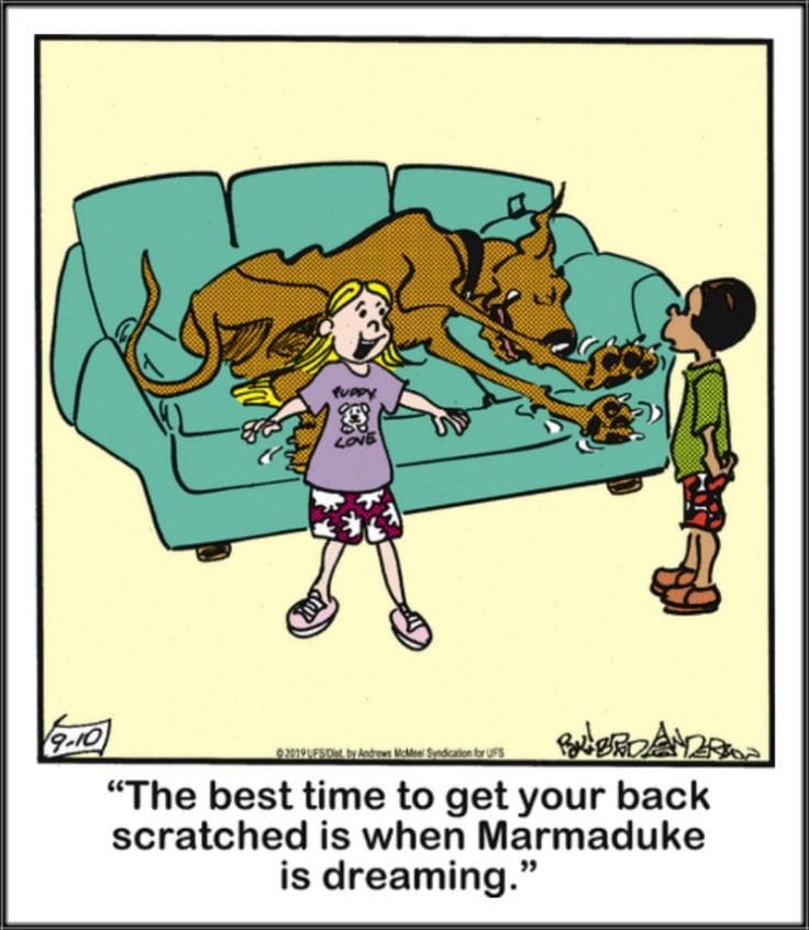15-66 20 Wholesome and Hilarious Dog Comics by Brad Anderson You Can’t Miss