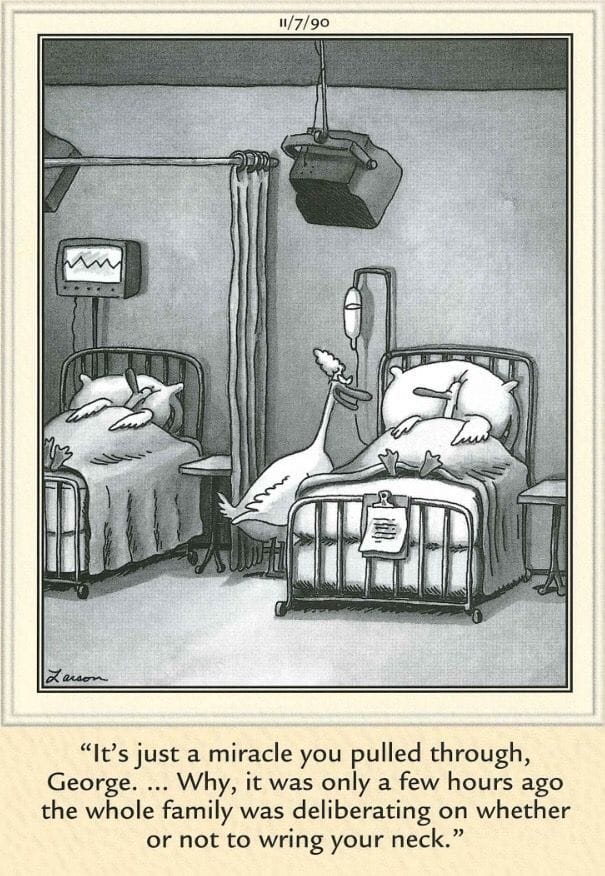 16-23 20 Best Far Side Comics That Still Hilariously Hold Up Today