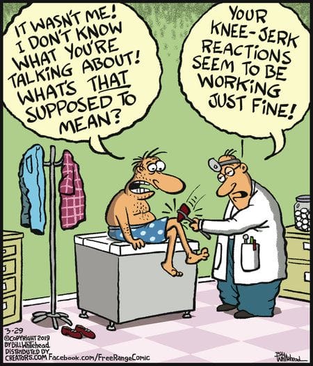16-28 20 Funniest Comics by Free Range That Prove Why They’re a Fan Favorite