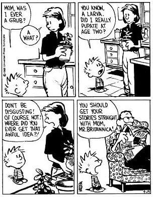 16-33 20 Hilarious Calvin and Hobbes Cartoons Every Fan Needs to See Again
