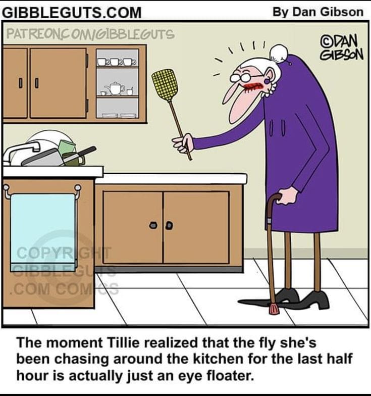 16-40 20 Funny Senior Cartoons That Perfectly Capture Aging with Humor