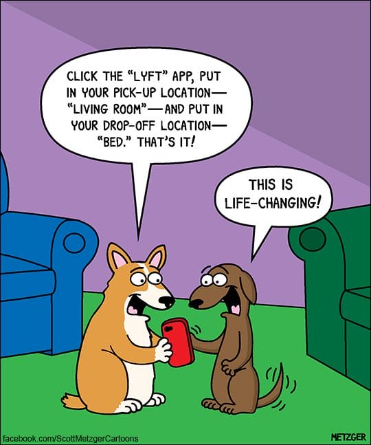 16-61 20 Funny Cat Cartoons by Scott Metzger That Totally Get Cat Life