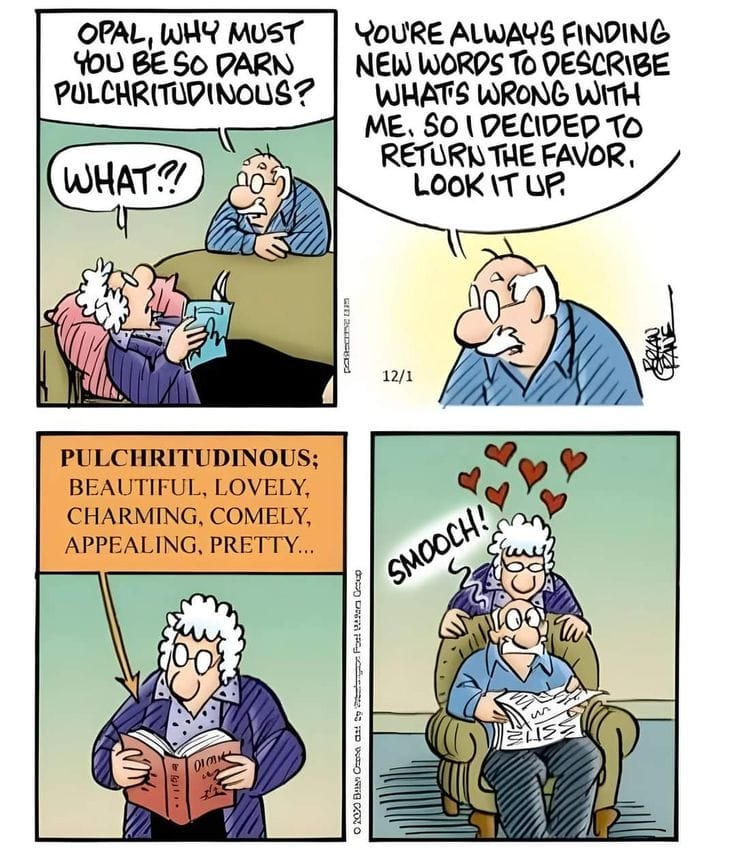 16-75 20 Hilarious and Relatable Humorous Aging Cartoons That Nail Senior Life