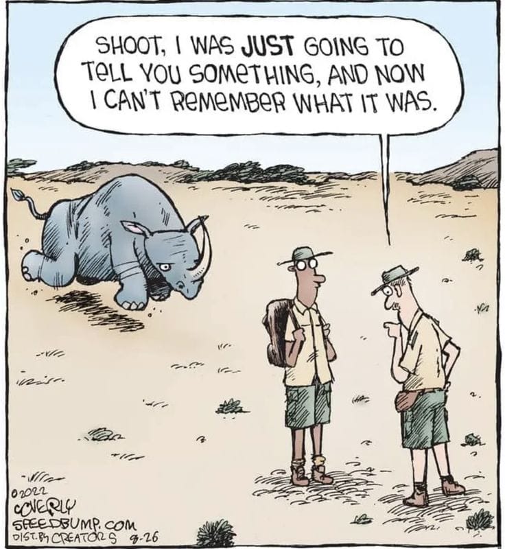17-41 20 Relatable life cartoons by Dave Coverly That Nail Everyday Absurdity