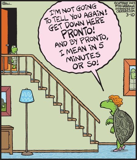 17-55 20 Witty Absurd Comics by Bill Whitehead That’ll Blow Your Mind