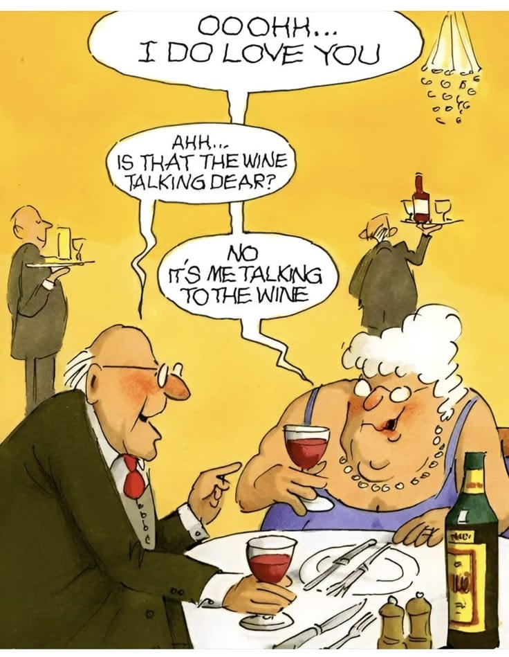 17-6 20 Hilarious Old Couple Cartoons That Perfectly Capture Aging Humor