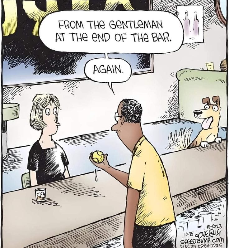 17-63 20 Hilarious Speed Bump Comics That Define Witty Comics Humor